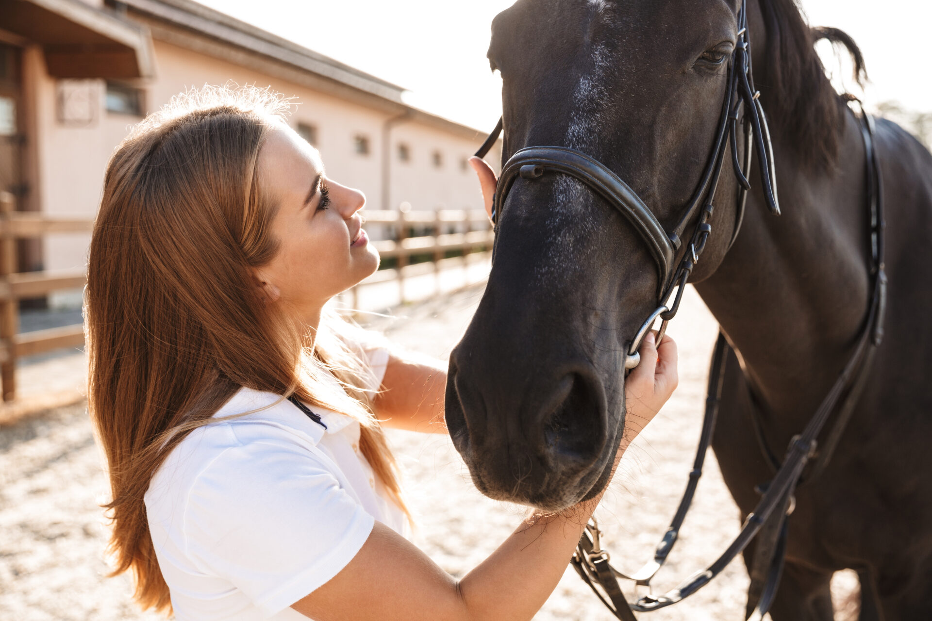 AdobeStock 320739442